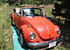 1979 Volkswagen Beetle Convertible for sale 101064129